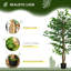 Ensemble de 2 ficus artificiels en pot-1996920194