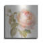 Art mural en métal House of Hampton® «Garden Rose C» par Danhui Nai-393353732