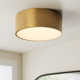 Mossy 2 Light Flush Mount