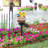 Bird Statue Garden Stake Solar Lighting