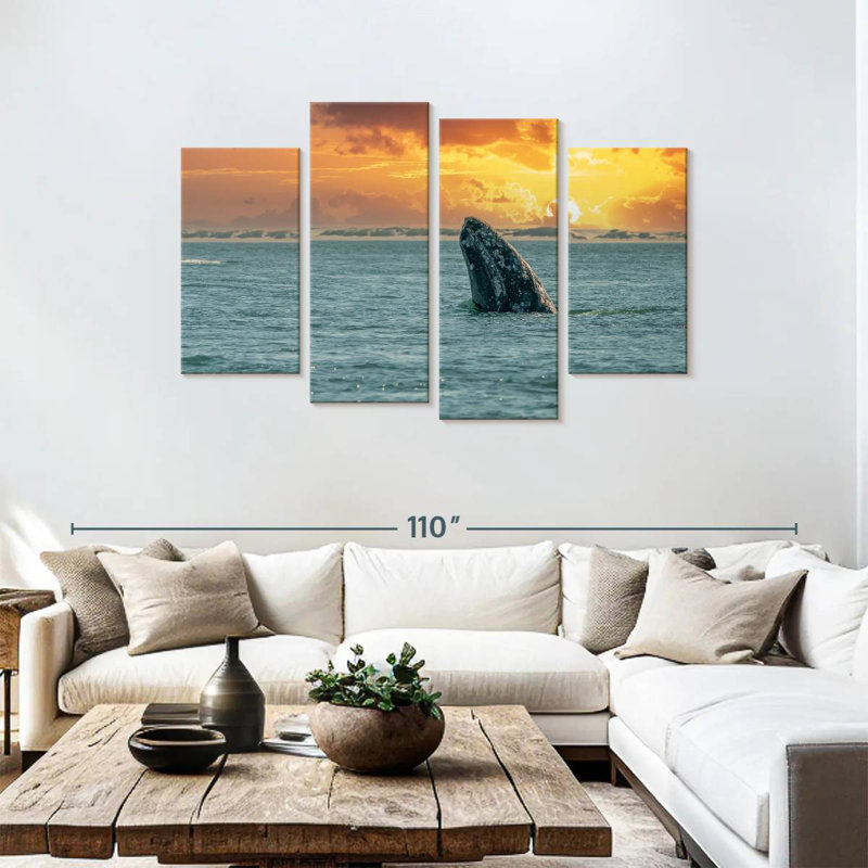 Baleine grise Brampt