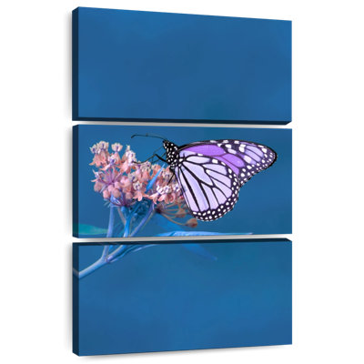 Papillon monarque Brampt mauve