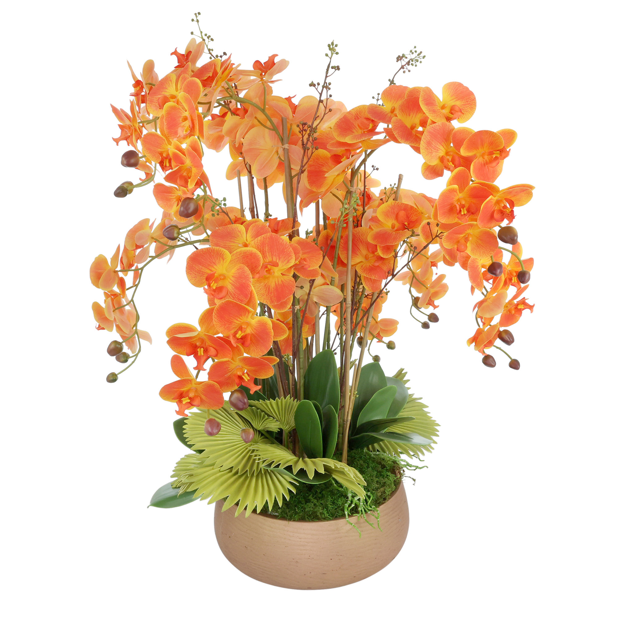Primrue Orchid Arrangement in a Fiberstone Pot - Wayfair Canada