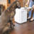 800oz. Food Storage Container