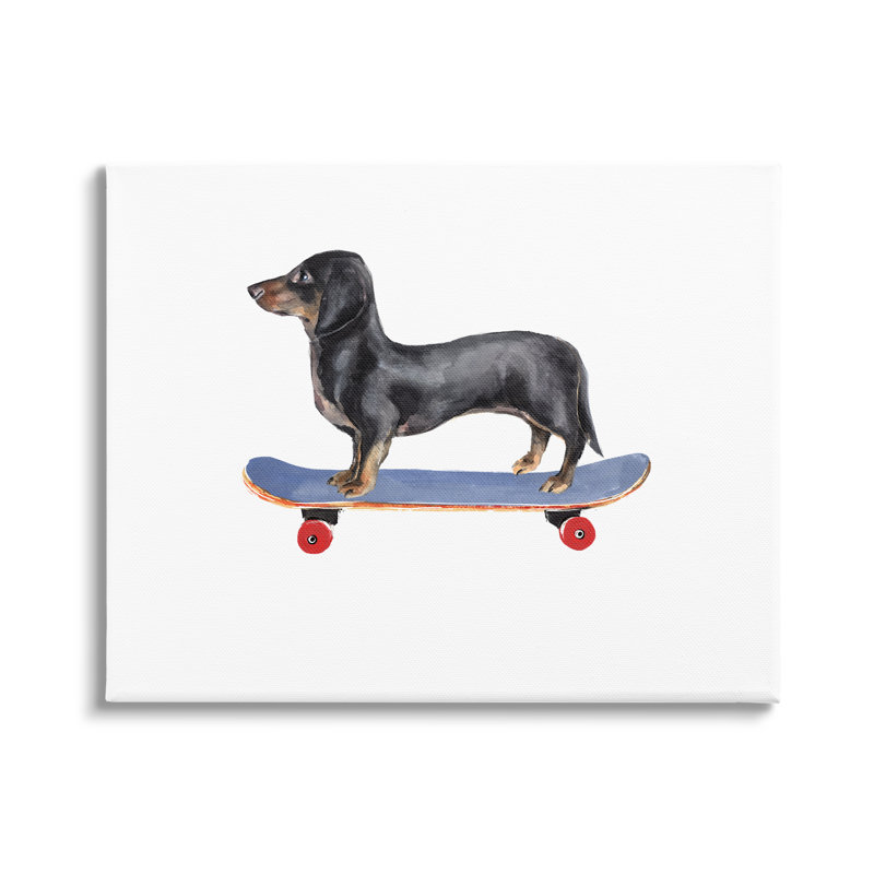 «Dachshund Dog Skateboarding cmw-032», art mural personnalisé, Toile tendue, H 16 po x l 20 po, Oui