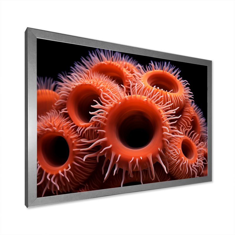 " Orange Giant Plumose Anemone ", 12" H x 20" W x 1" D, Silver Single Picture Framed