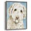 Labradoodle I, reproduction encadrée - bois massif-983755310
