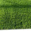 Brioney 40mm Premium Artificial Grass For Lawn, Non-Slip Fake Grass-3m(9'9") X 4m(13'1")-12m²-592367053