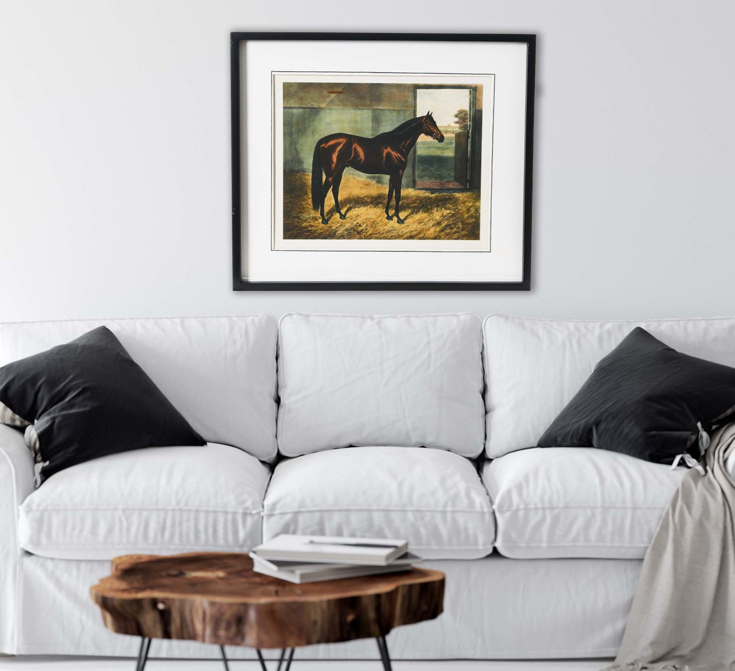 Horse