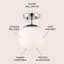 Statler Glass Semi Flush Mount-2010117113