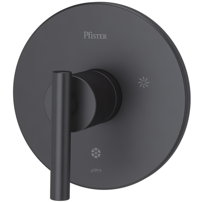 Matte Black Wall-Mounted Lever Shower Valve Trim