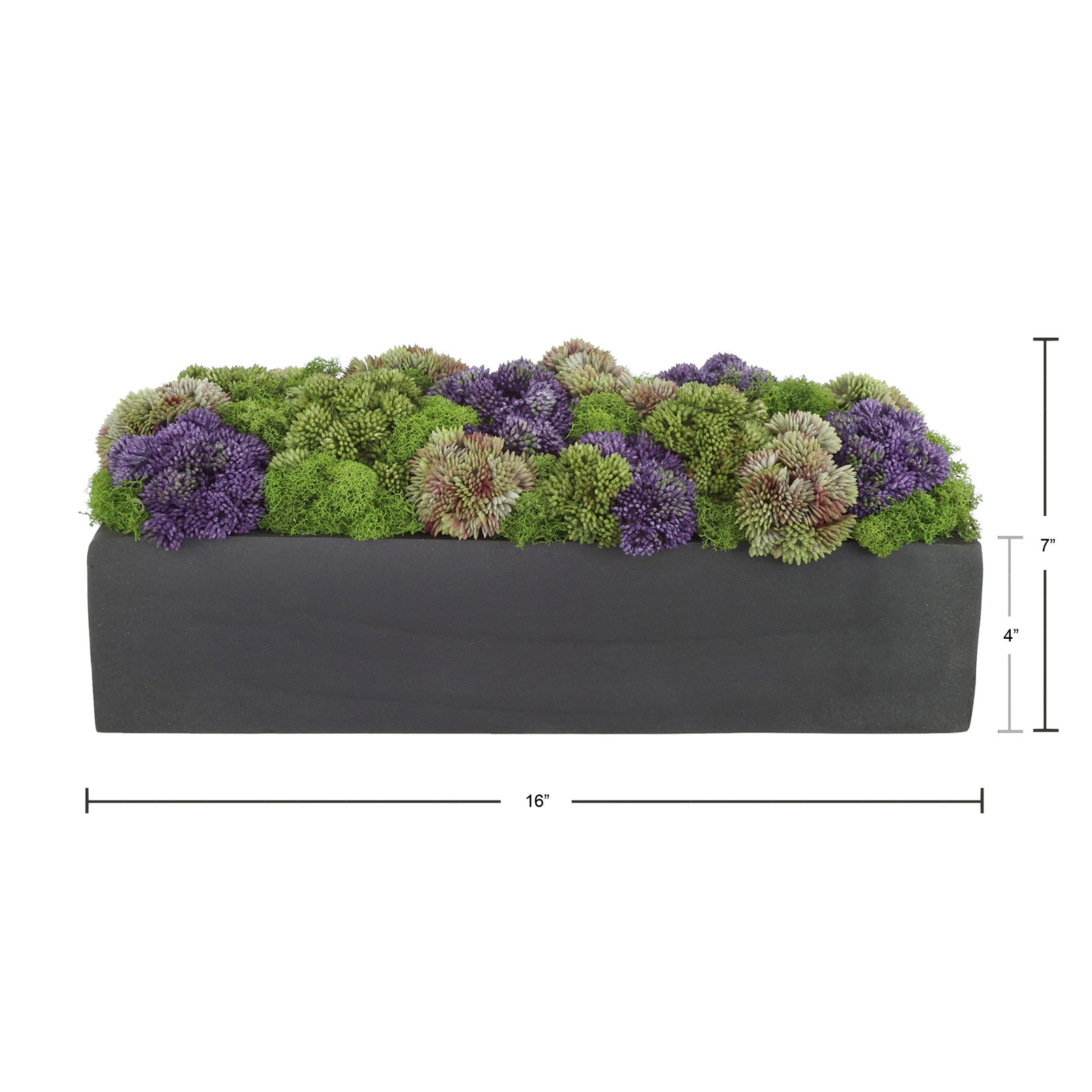 Sedum Floral Arrangement in Black Planter, Black, 7" H x 16" W x 7" D, Rectangular