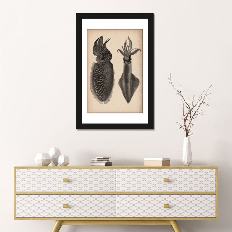 « animal octopus squid scientific », impression sur toile, H 32 po x l 24 po x P 1 po, Papier beaux-arts encadré noir, Blanc