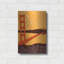 «Golden Gate Bridge Headlands» par Shane Donahue-1518567477