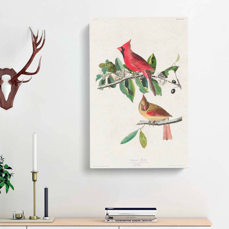 Cardinal Grosbeak Birds by John Audubon - Wrapped Canvas, 60cm H x 40cm W x 3cm D