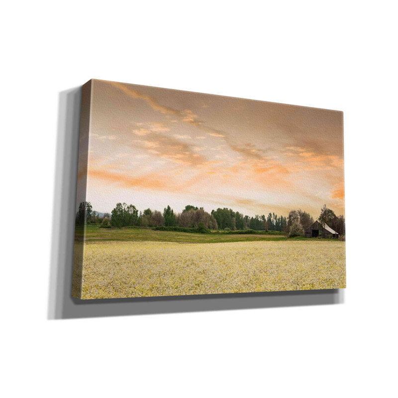 «Barn In The Field Of Spring Flowers» par Don Schwartz, estampe numérique sur toile, H 12 po x l 18 po x P 0,75 po