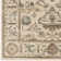 Benson Oriental Indoor Rug