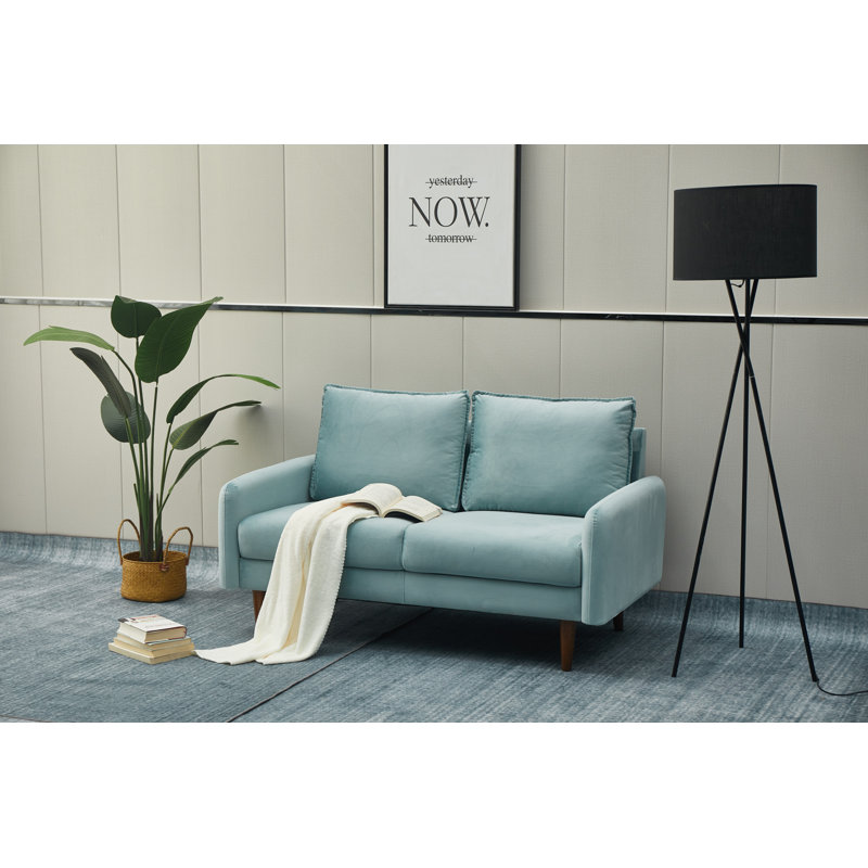 Emteas 57.3'' Velvet Loveseat, Light Grayish Cyan Velvet