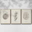 Shore Treasure Study I 3 pièces-97711597-97711598