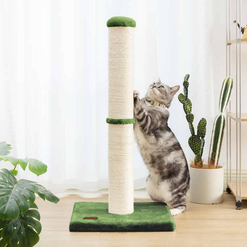 Arbre à chat 34 po avec corde en sisal naturel 4,3 po, Vert