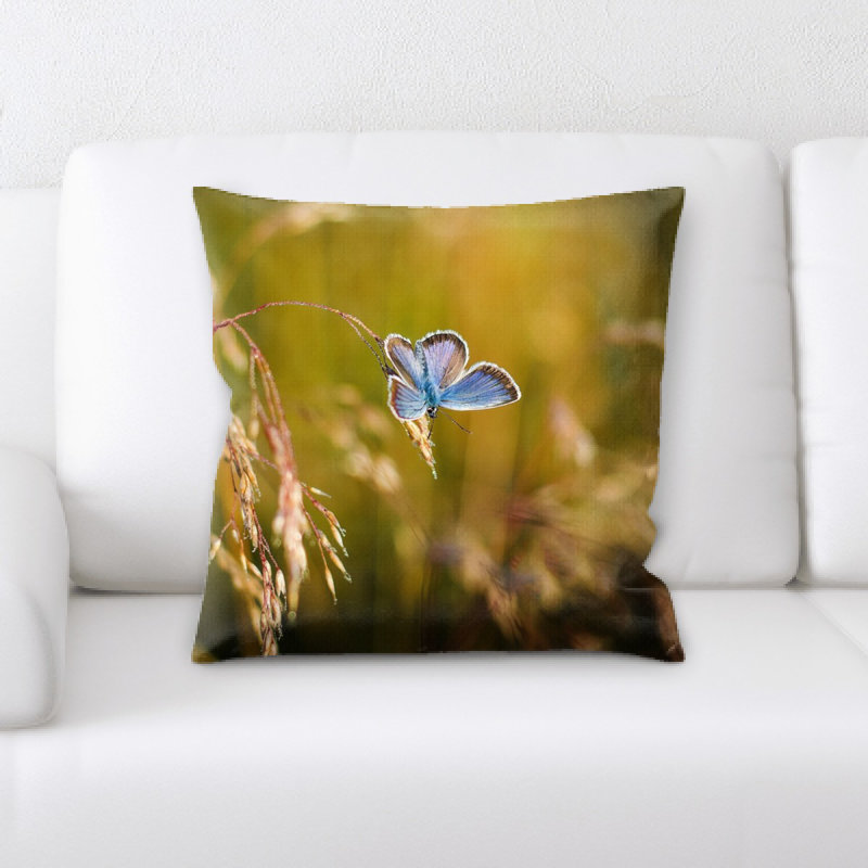 Housse et insert de coussin carré papillon