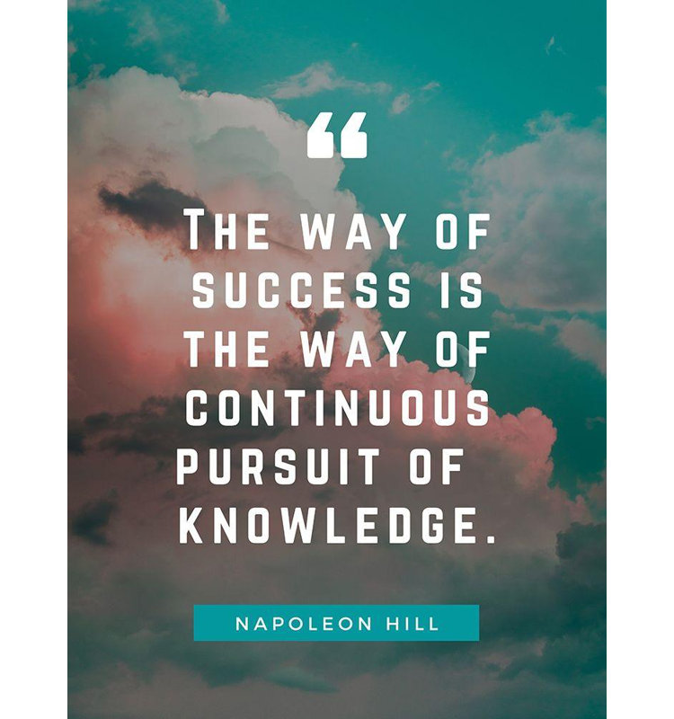 Art sur toile tendue Trinx ArtsyQuotes, "Napoleon Hill", H 18 po x l 15 po
