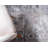 Aerilyn Ikat Indoor Rug-1677958679