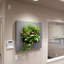 Nilda Metal Planter-1625015071