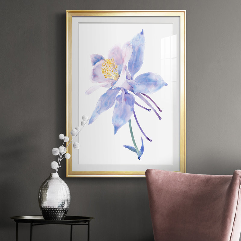 Columbine Bloom II - imprimé, Cadre doré, H 36,5 po x l 26,5 po x P 1 po