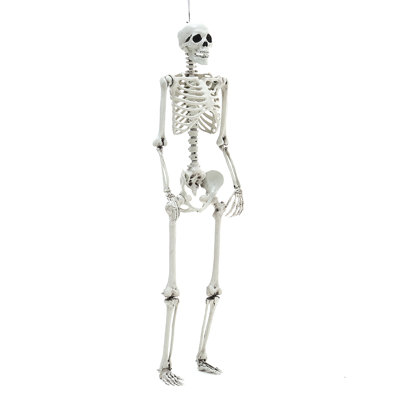 160CM Halloween Haunted House Horror Plastic Realistic Skull Skeleton