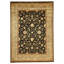 Oriental Area Rug in Gold
