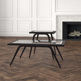 Mitchum 2 - Piece Coffee Table Set