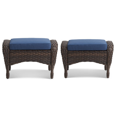 Pragnya Upholstered Outdoor Ottoman