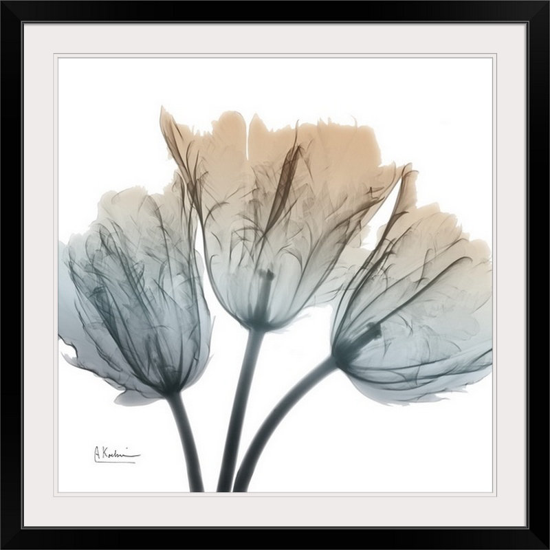 Manigault 'Earthy Tulips by Kiranjit Photographic Print, 24" H x 24" W x 1" D, Black Frame