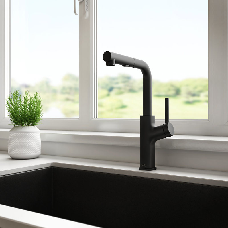 Kalia Masimo Surfer Pull Out Kitchen Faucet, Matte Black