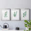 Freshly Picked I - Ensemble de 3 reproductions de cadres photo-456555364-456555365