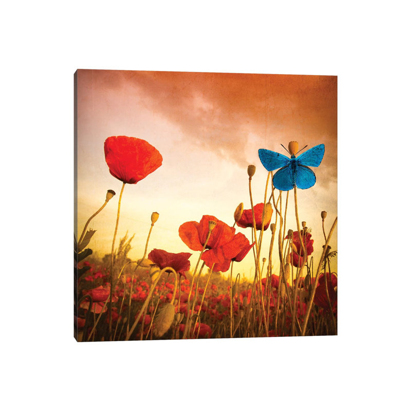 Poppies Dream 1 Piece Wrapped Canvas Painting, 93.98 cm H x 93.98 cm W x 1.91 cm D
