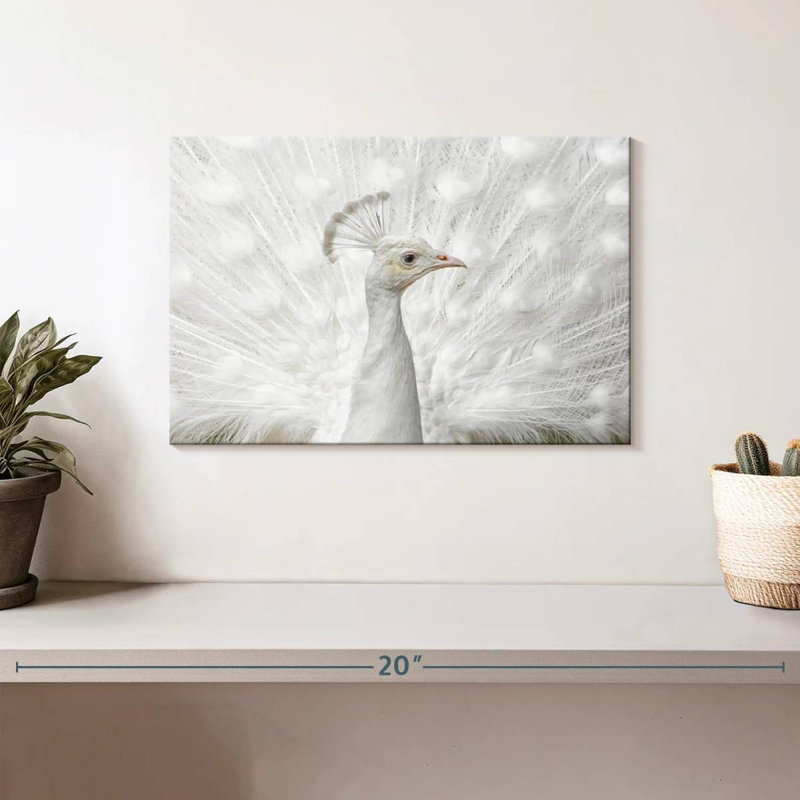 Brampt Immaculate, 8" H x 12" W