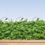 Metal Fan Trellis Side Panel-1471891299