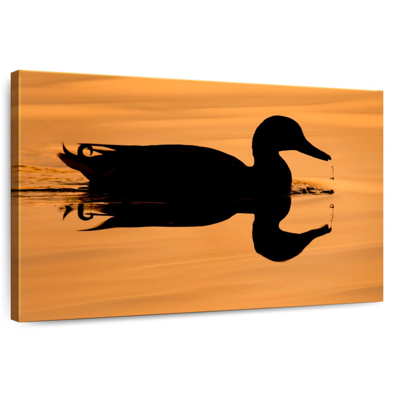 Silhouette de canard colvert Brampt, H 20 po x l 30 po