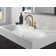 SAYLOR Centerset Bathroom Faucet with Drain Assembly, 2-handle Bathroom Sink Faucet
