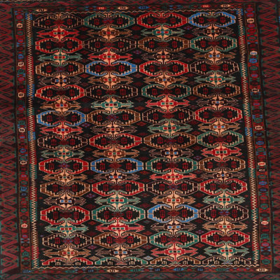 Hakan Oriental Indoor Rug