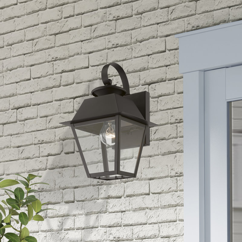 Fredderick 1 - Bulb 12.5" Outdoor Wall Lantern, Bronze