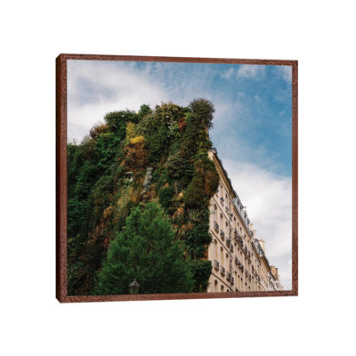 Parisian Vertical Garden II by Bethany Young - Print on Canvas