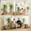 Faux Dracaena Tree Plant in Cement Freestanding  Planter-1502214237-1502214239