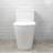 17" Comfort Height Dual-Flush Toilet Modern Elongated One-Piece Toilet for Floor Mounted Glazed Surface (Seat Included)