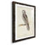Canada Owl Premium encadré mat - prêt à accrocher-108877503-108877502