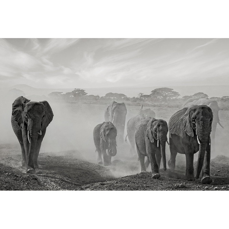 Wrapped Canvas Print, 50.8 cm H x 76.2 cm W