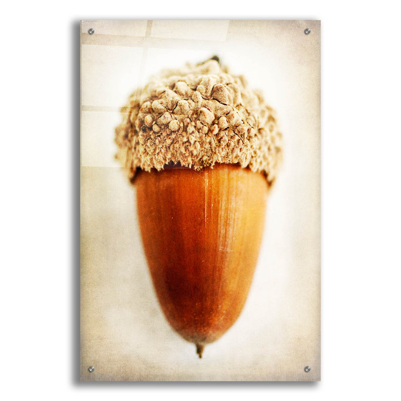 «Acorn» par Jessica Rogers sur plastique / acrylique par Jessica Rogers, H 36 po x l 24 po x P 0,2 po