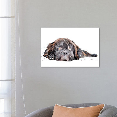 " Newfoundland Dog " by EdsWatercolours